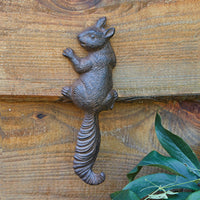 Climbing Squirrel Wall Hook - Box of 2