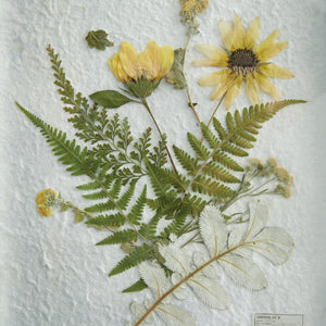 Pressed Botanical Wall Decor - Sunflower