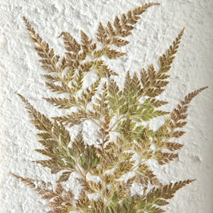 Pressed Botanical Fern on Stand