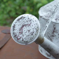 Speckled Rose Watering Can