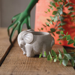 Small Cement Elephant Pot - Box of 2