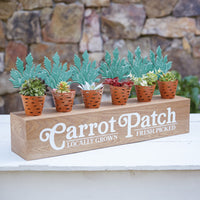 Carrot Patch Display Box