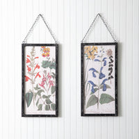 Set of Two Perennial Botanical Framed Prints