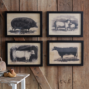Homestead Framed Canvas - Bull
