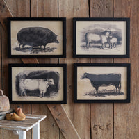 Homestead Framed Canvas - Pig