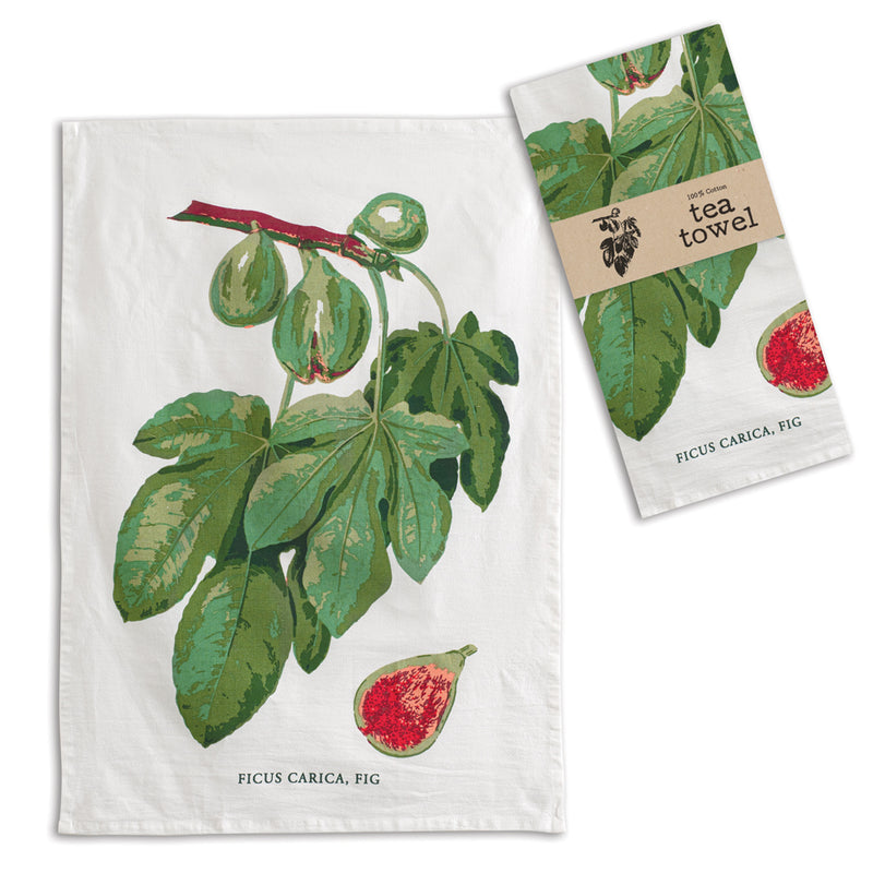 Fig Tea Towel - Box of 4 - D&J Farmhouse Collections