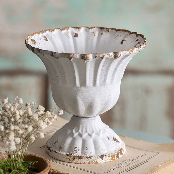 Medium Scalloped Cup - Box of 4 - D&J Farmhouse Collections