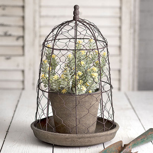 Chicken Wire Cloche with Terra Cotta Pot and Saucer - D&J Farmhouse Collections